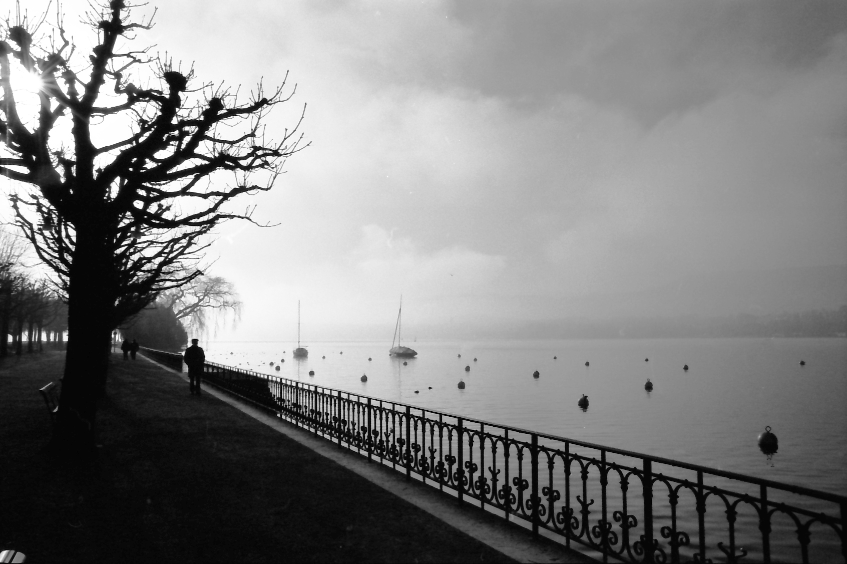 Man sieht die Promenade des Züricher Sees im Dunst als Schwarz-Weiß-Aufnahme